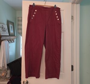 Chico's Rust Wide Leg Ankle Pants